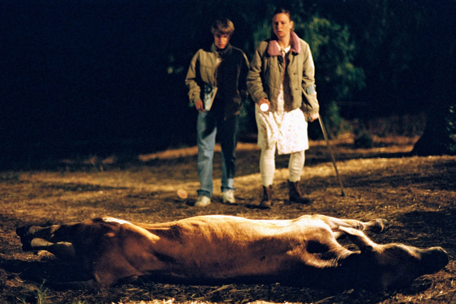 Mysterious Skin