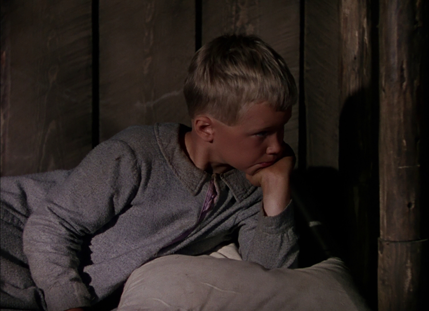 Brandon De Wilde Brandon De Wilde