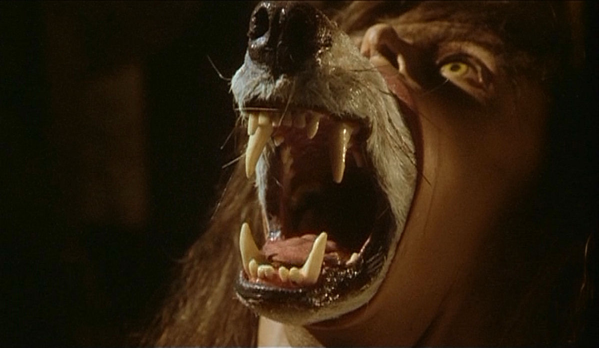The Company of Wolves The Company of Wolves