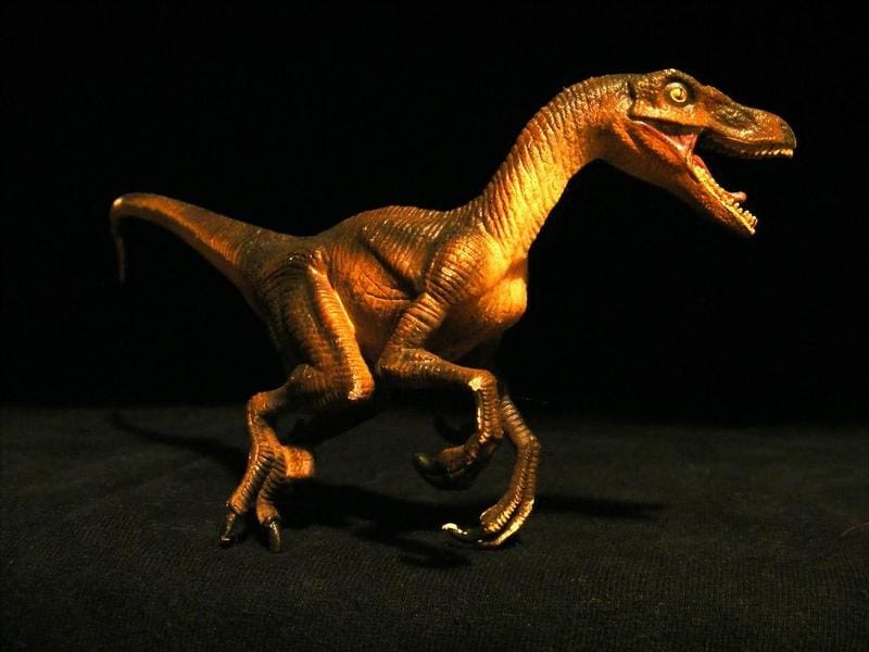 Velociraptor by Safari Ltd.