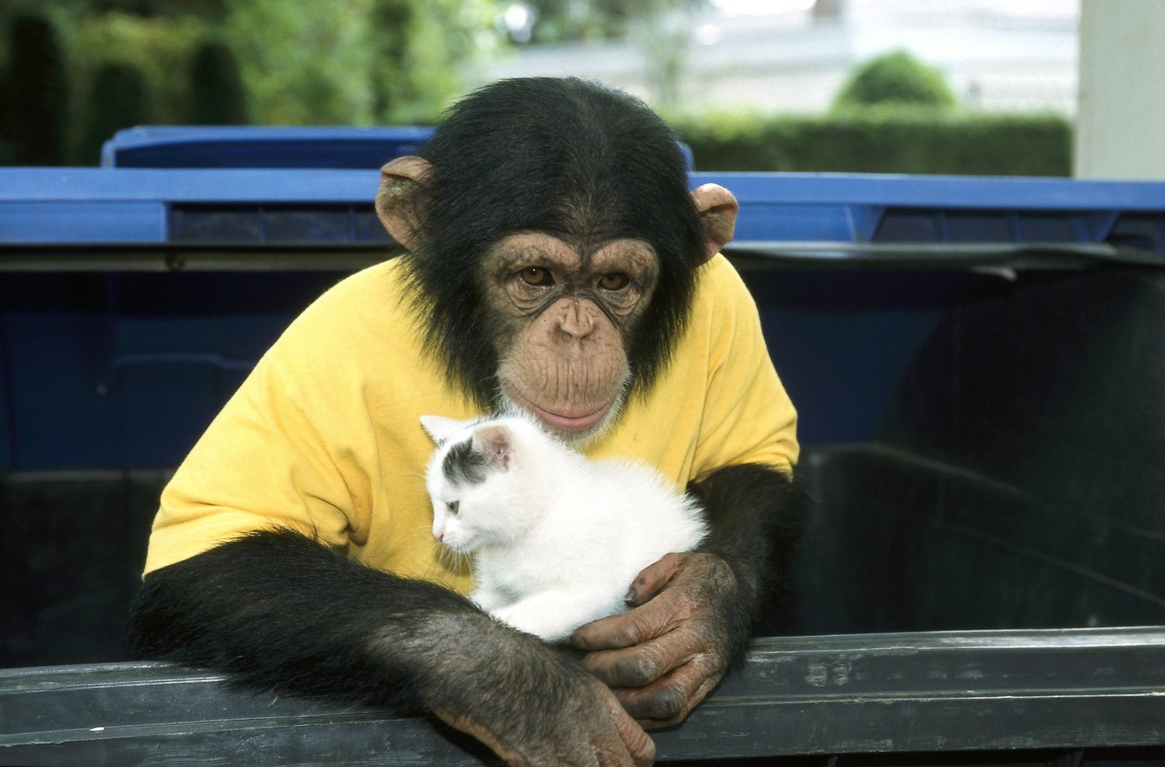Unser Charly (1995- ) Unser Charly (1995- )