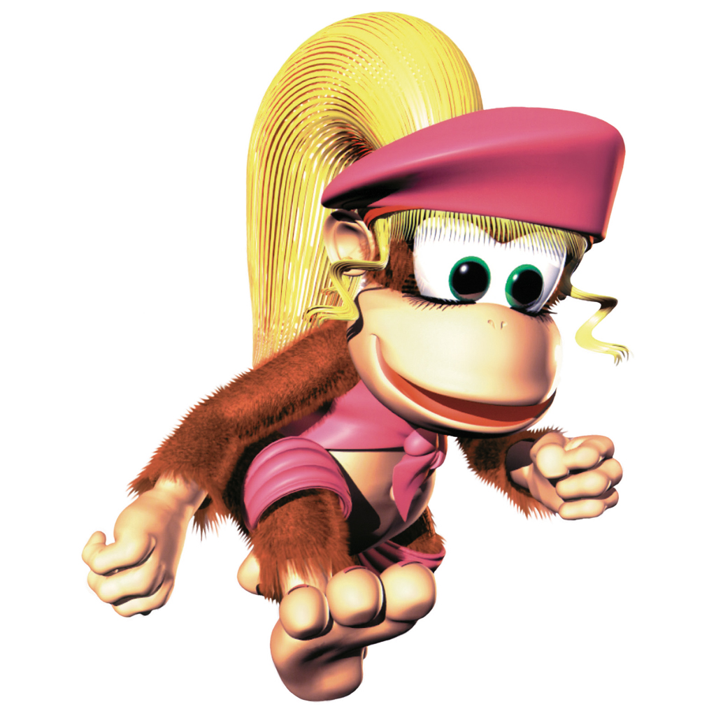 Picture of Donkey Kong Country 2 Diddy's Kong Quest Picture of Donkey Kong Country 2 Diddy's Kong Quest