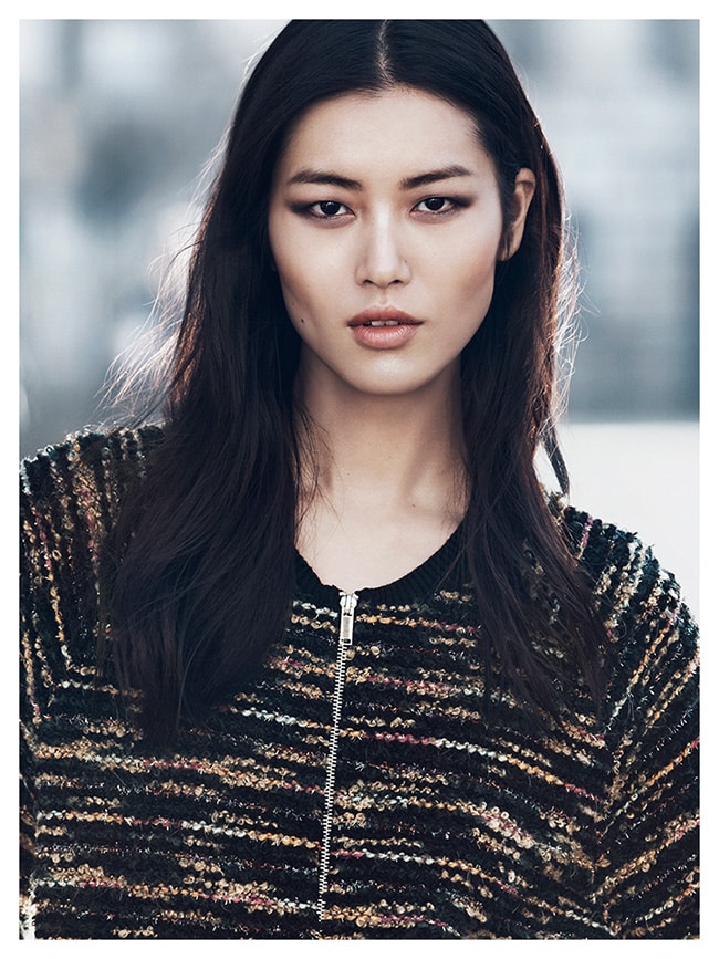 Liu Wen image