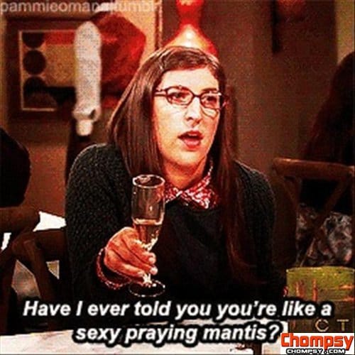 Picture of Amy Farrah Fowler