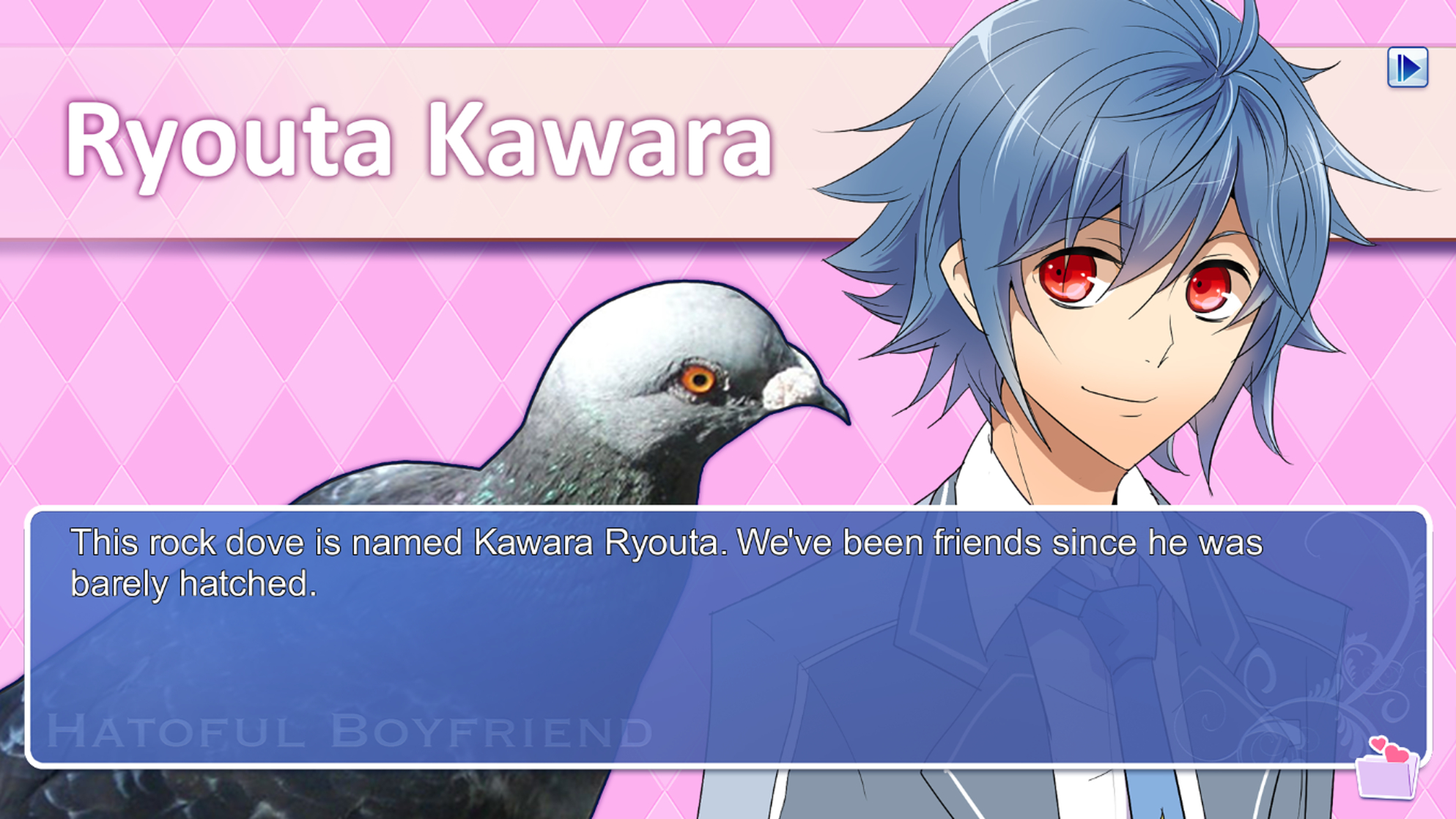 Hatoful Boyfriend
