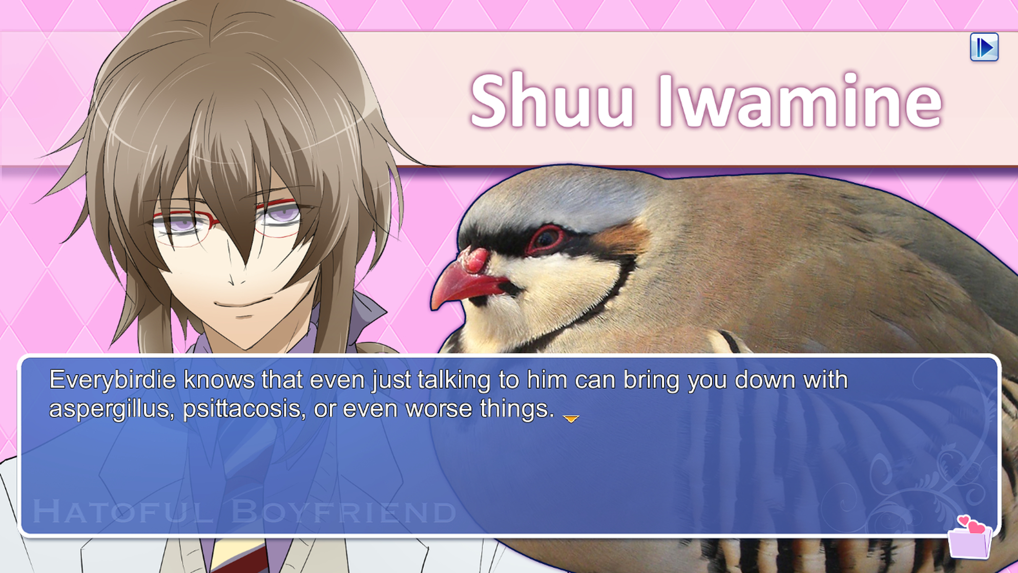 Hatoful Boyfriend