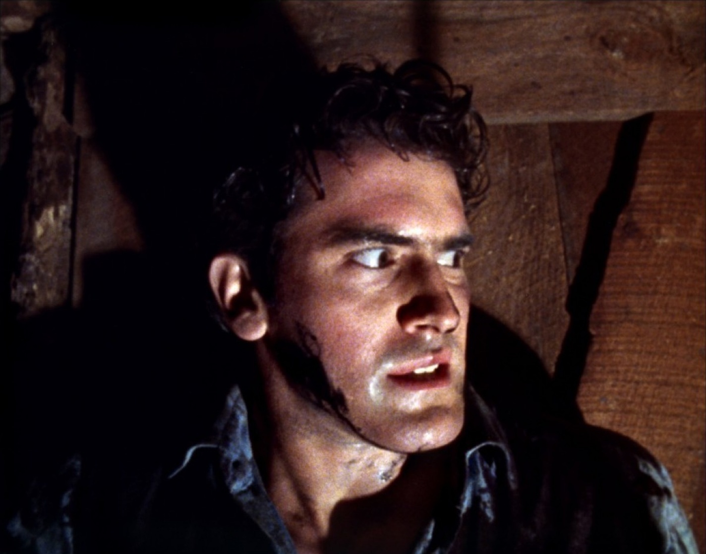 The Evil Dead The Evil Dead