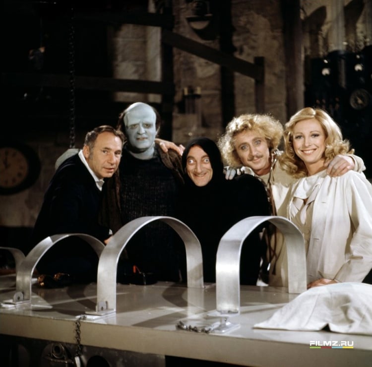 Picture of Young Frankenstein (1974)