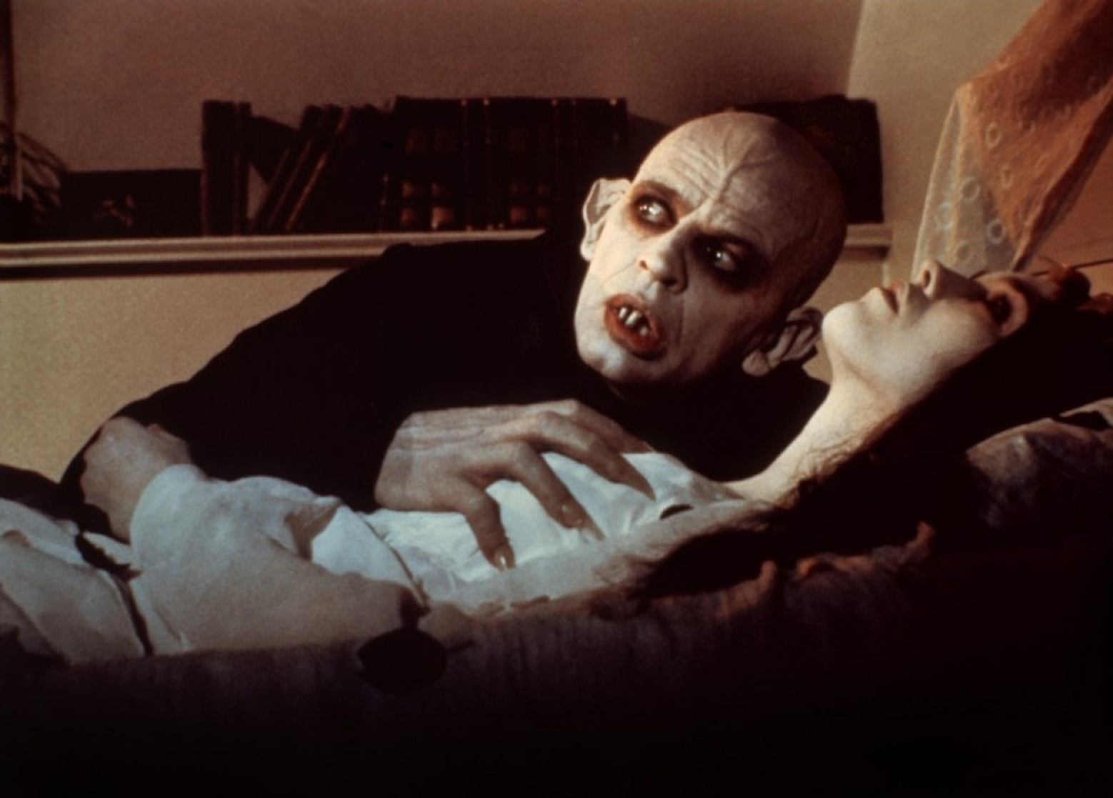 Nosferatu the Vampyre Nosferatu the Vampyre