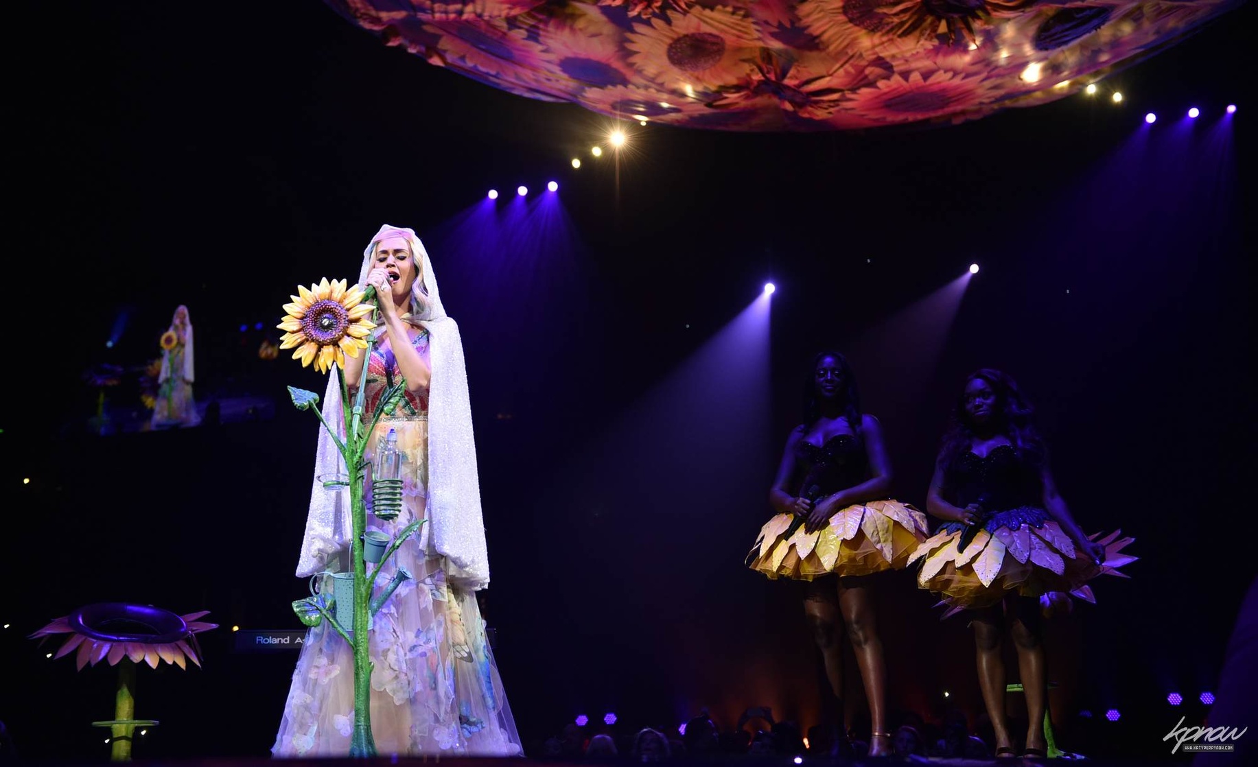 Katy Perry Katy Perry