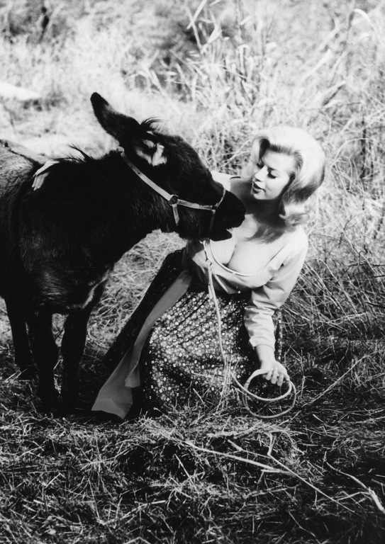 Picture of Lorna Maitland