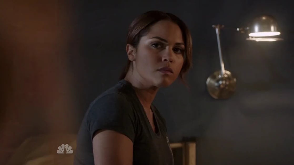 Monica Raymund