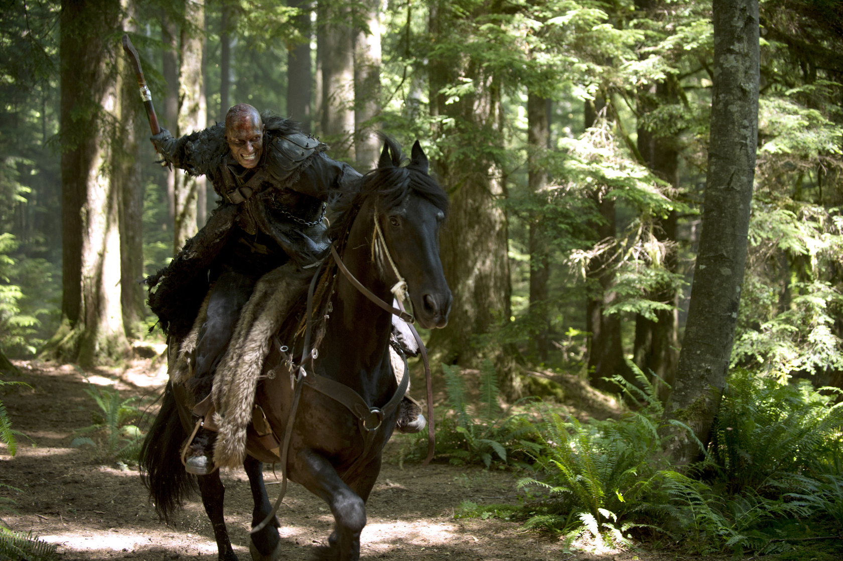 The 100