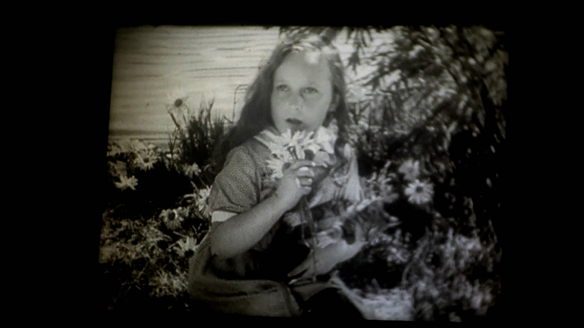 The Spirit of the Beehive (1973)