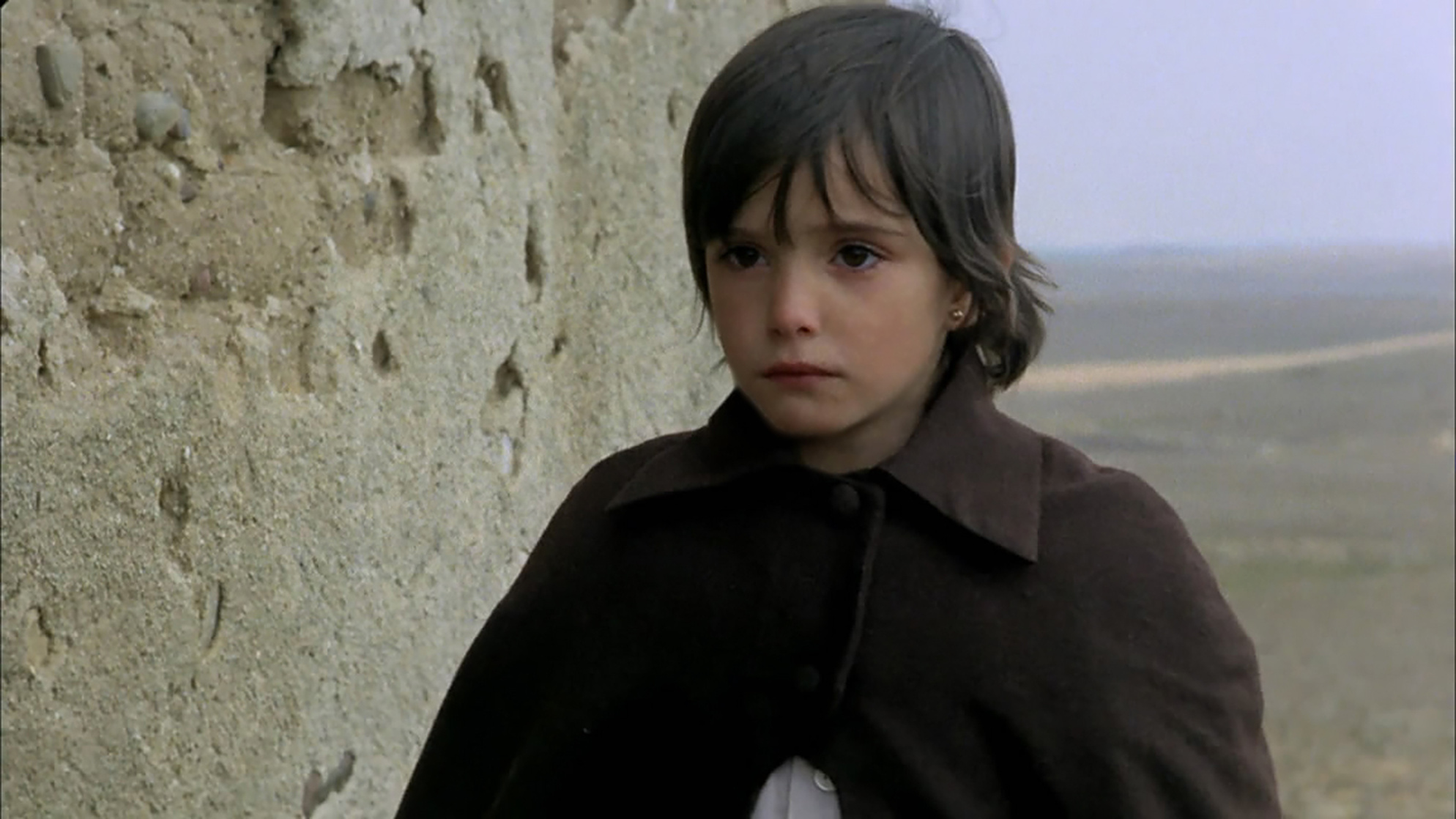 The Spirit of the Beehive (1973) The Spirit of the Beehive (1973)