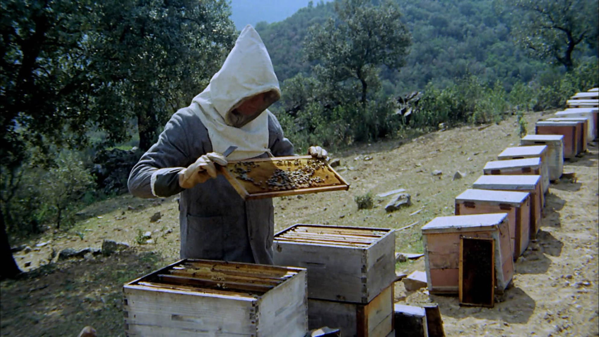 The Spirit of the Beehive (1973) The Spirit of the Beehive (1973)