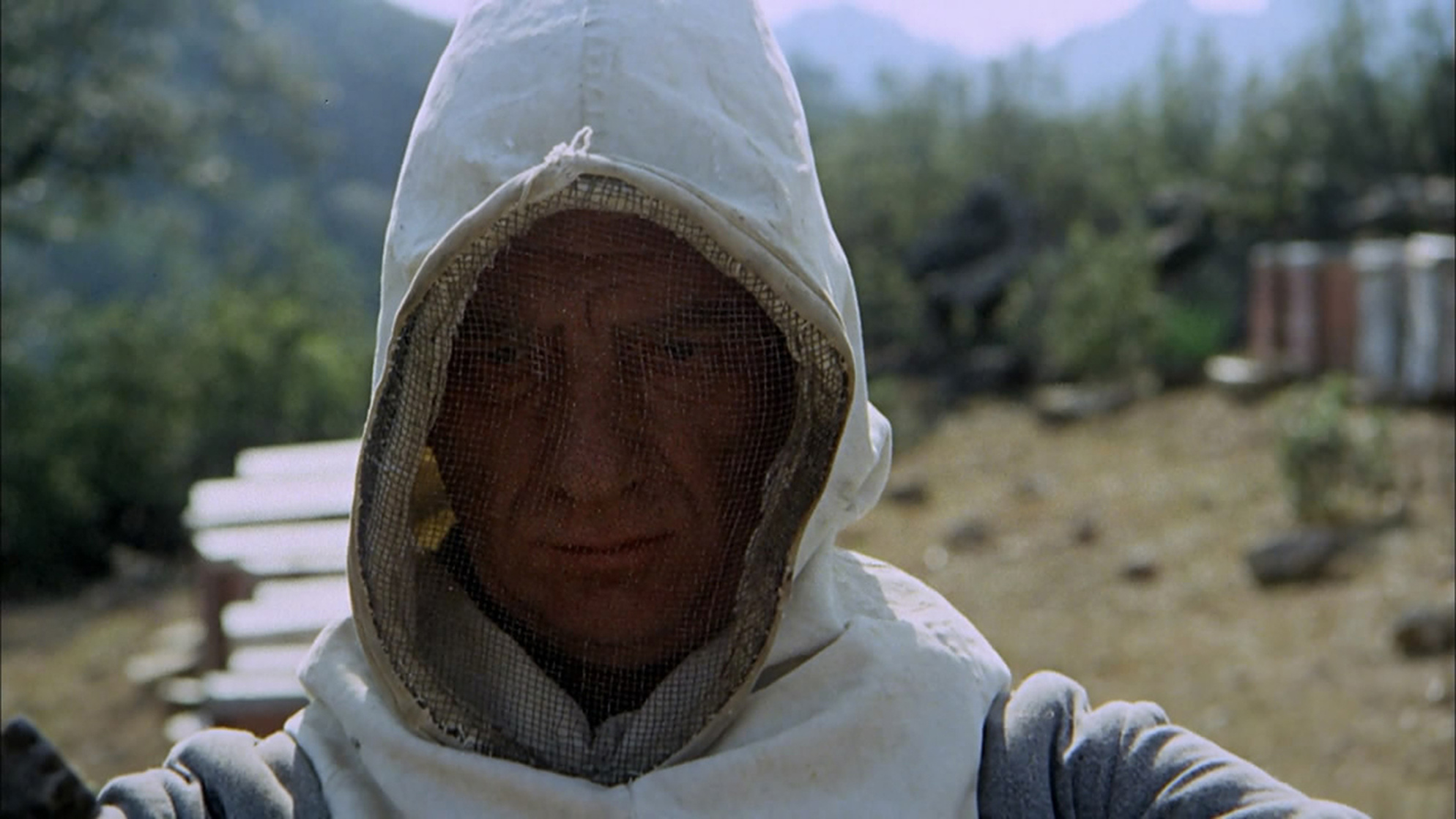 The Spirit of the Beehive (1973) The Spirit of the Beehive (1973)