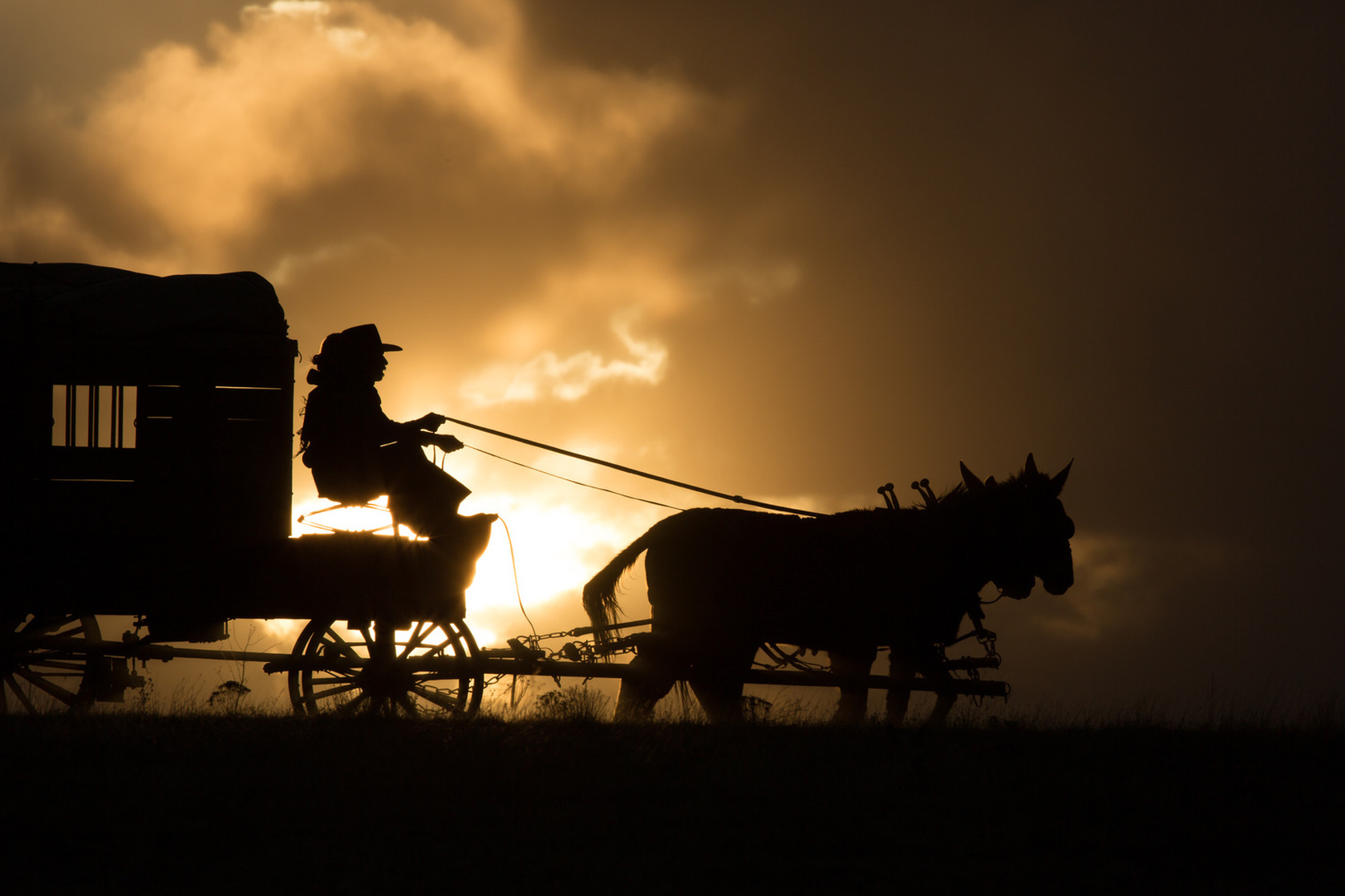 The Homesman The Homesman