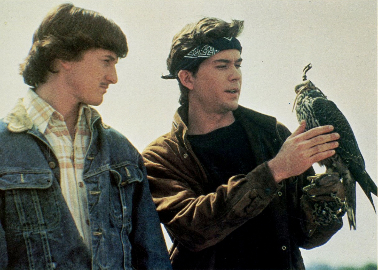The Falcon and the Snowman
