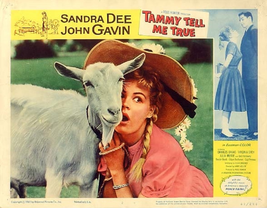 Tammy Tell Me True (1961) Tammy Tell Me True (1961)
