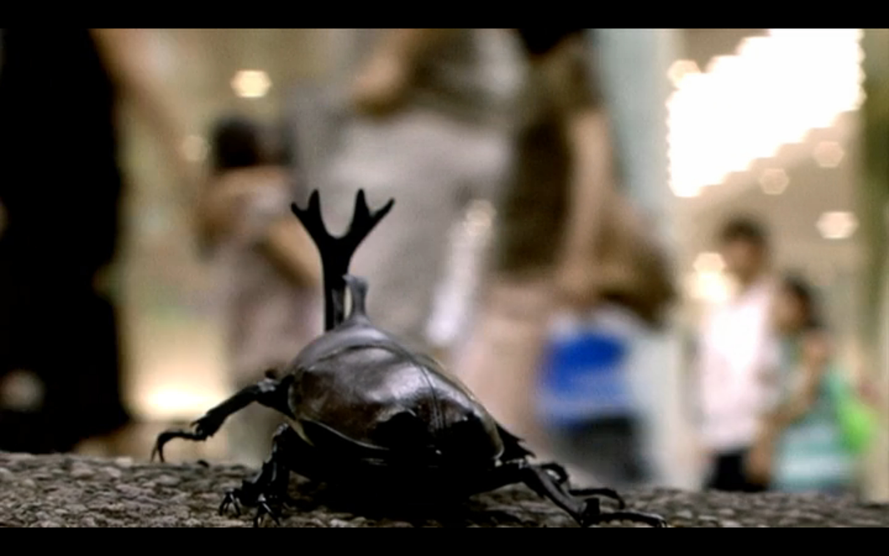 Beetle Queen Conquers Tokyo