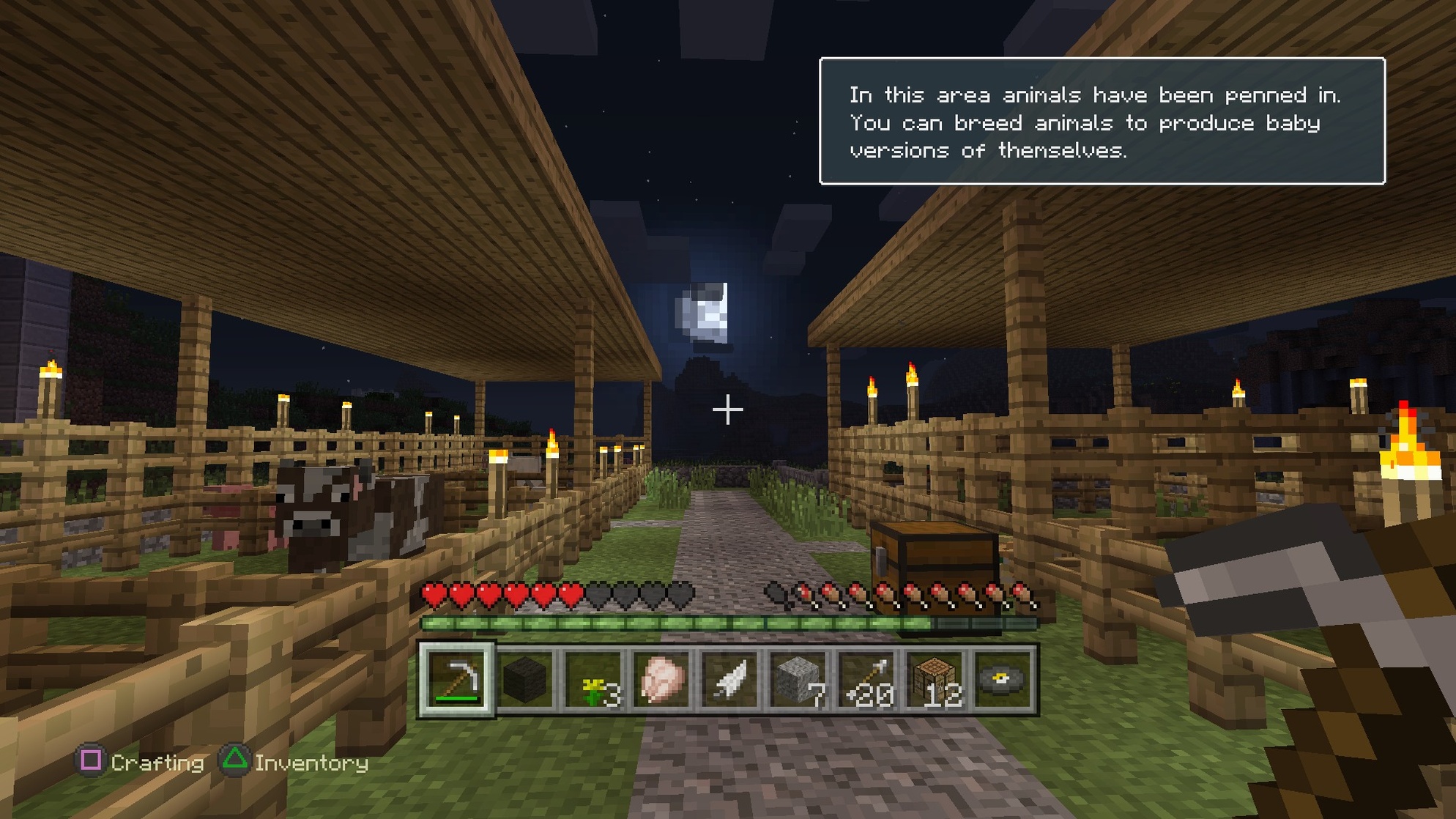 Minecraft: Playstation 4 Edition