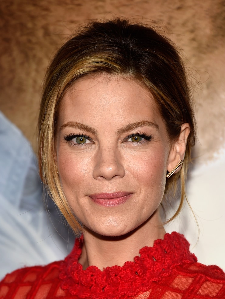 Picture of Michelle Monaghan