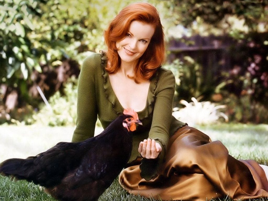 Marcia Cross Marcia Cross