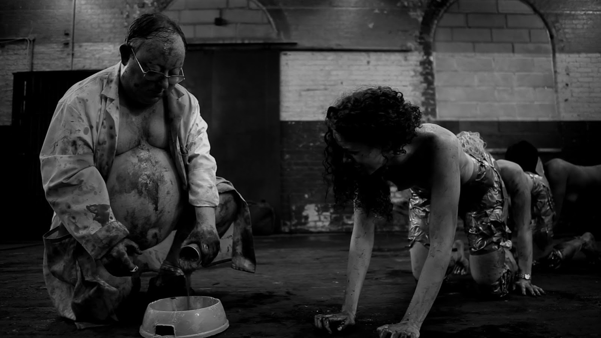 The Human Centipede II