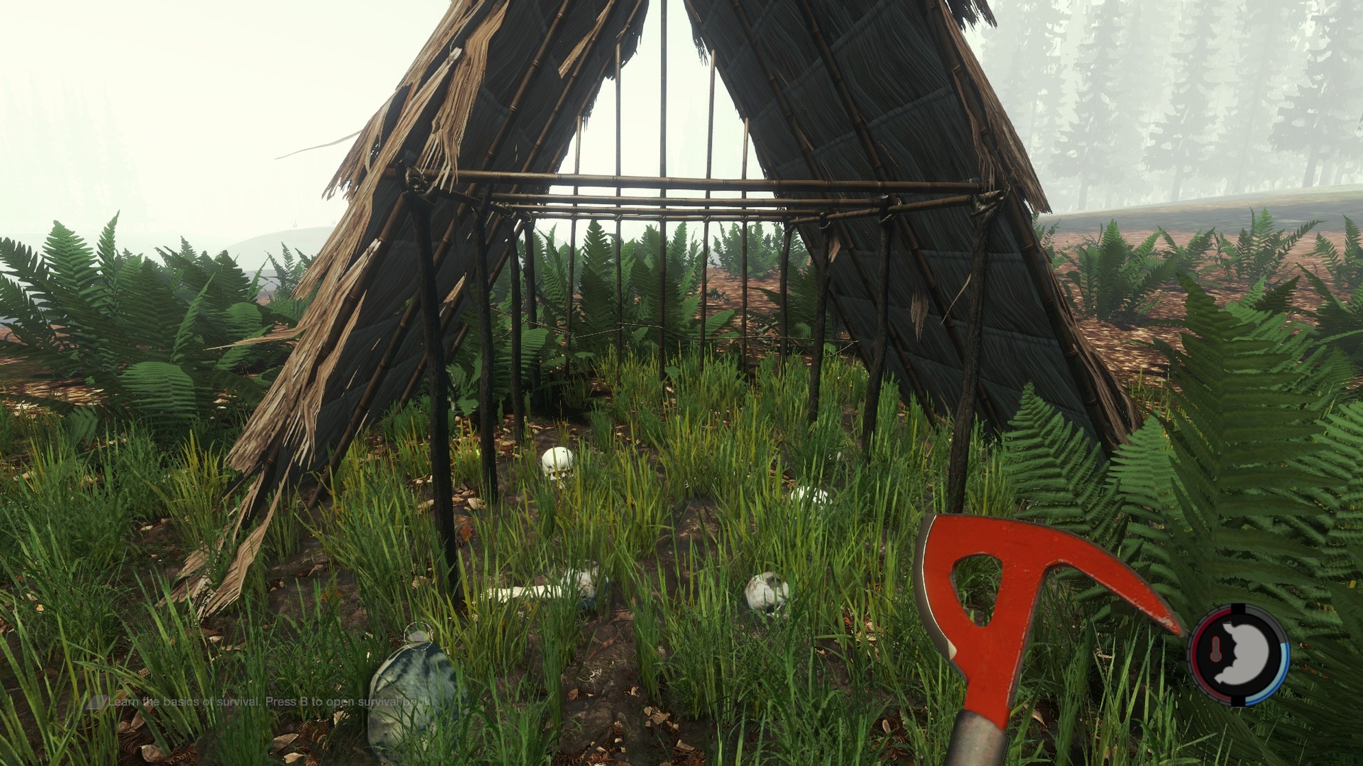 The Forest