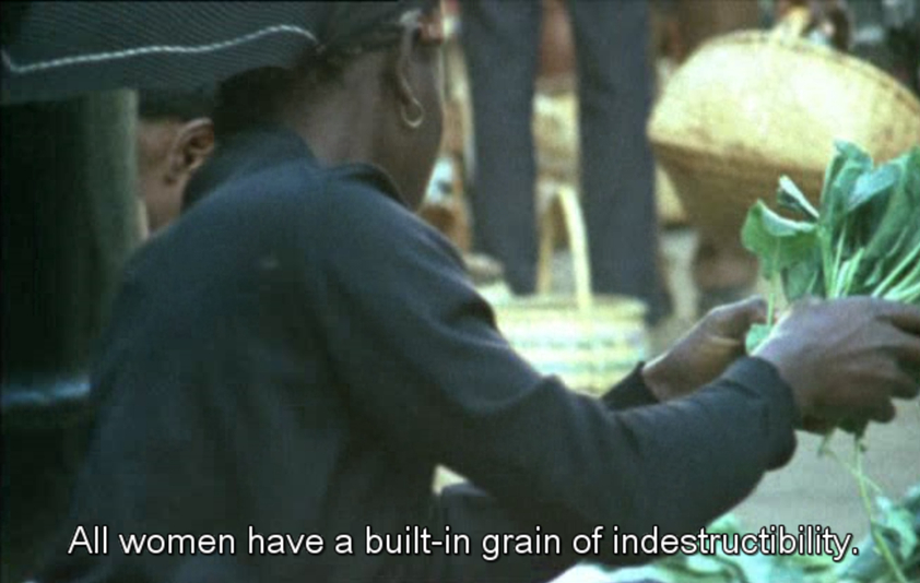 Sans Soleil (1983)