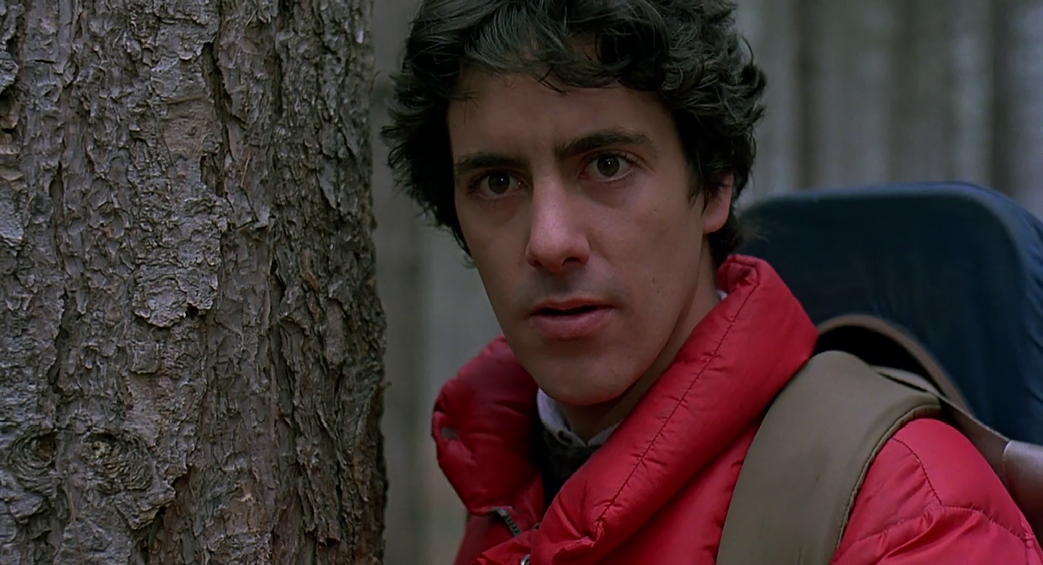 An American Werewolf in London An American Werewolf in London