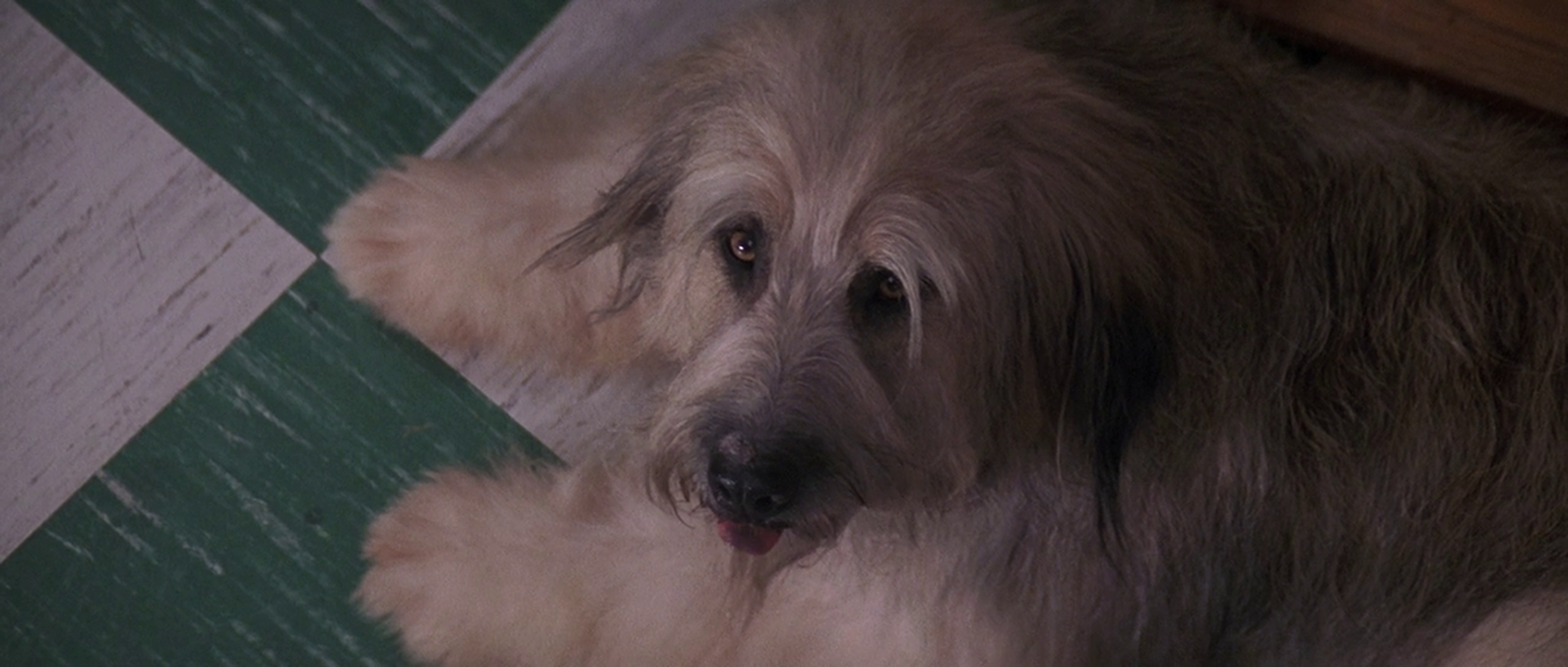 Cape Fear Cape Fear