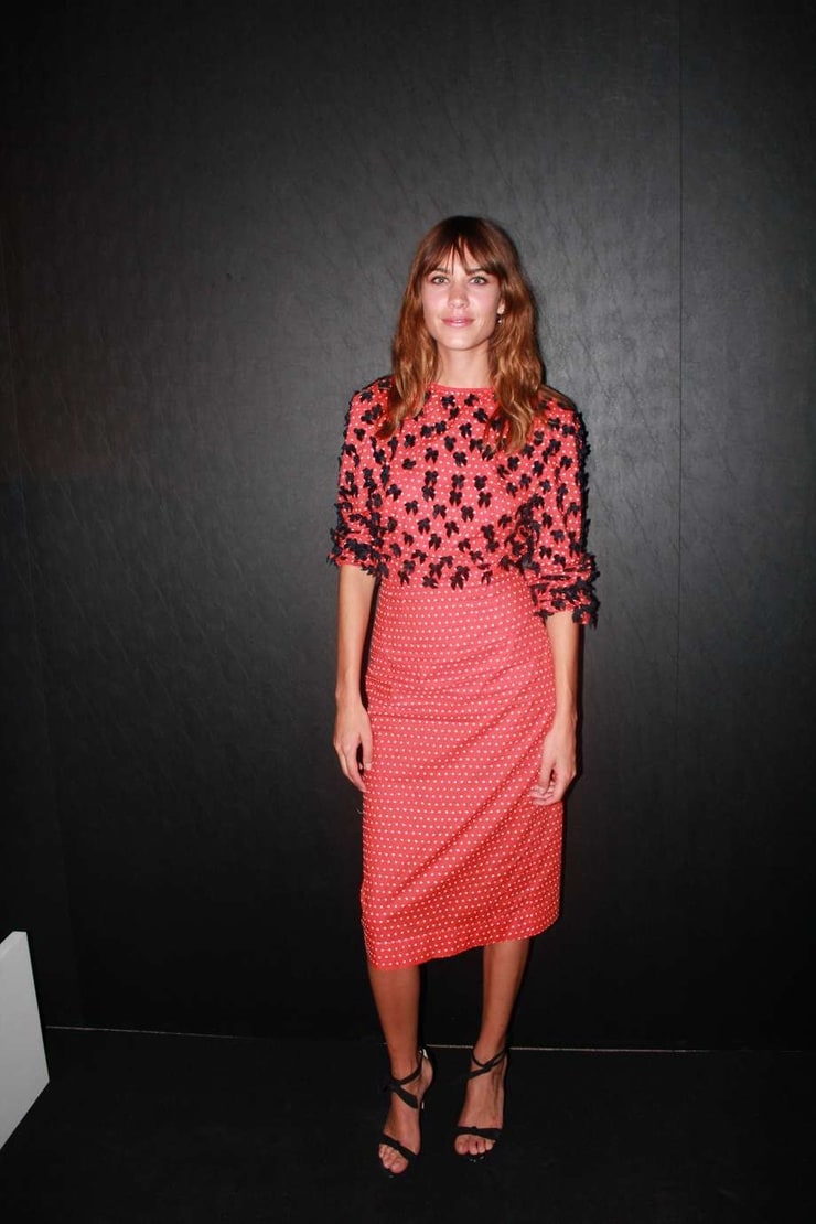 Alexa Chung Picture 
