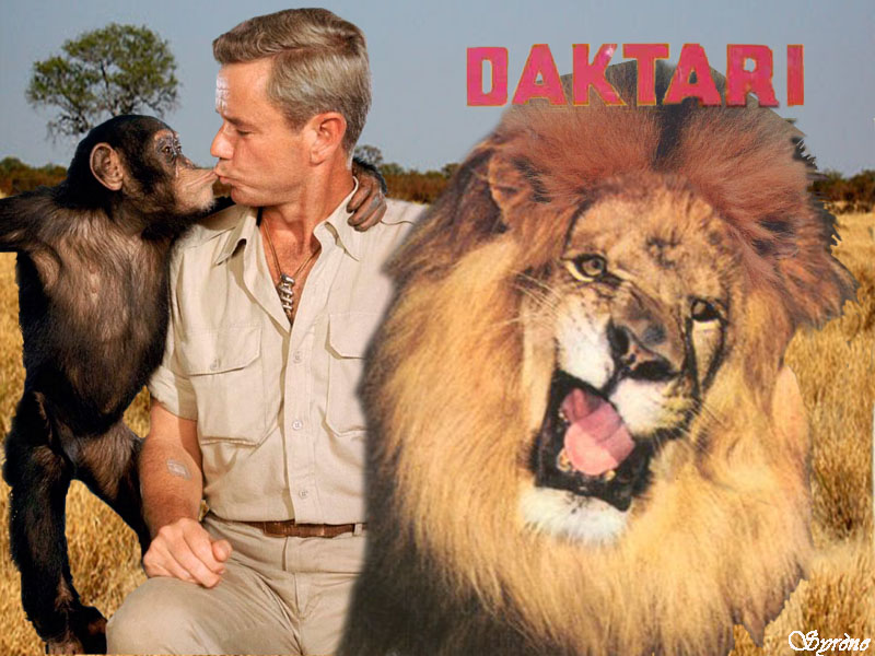 daktari stripes