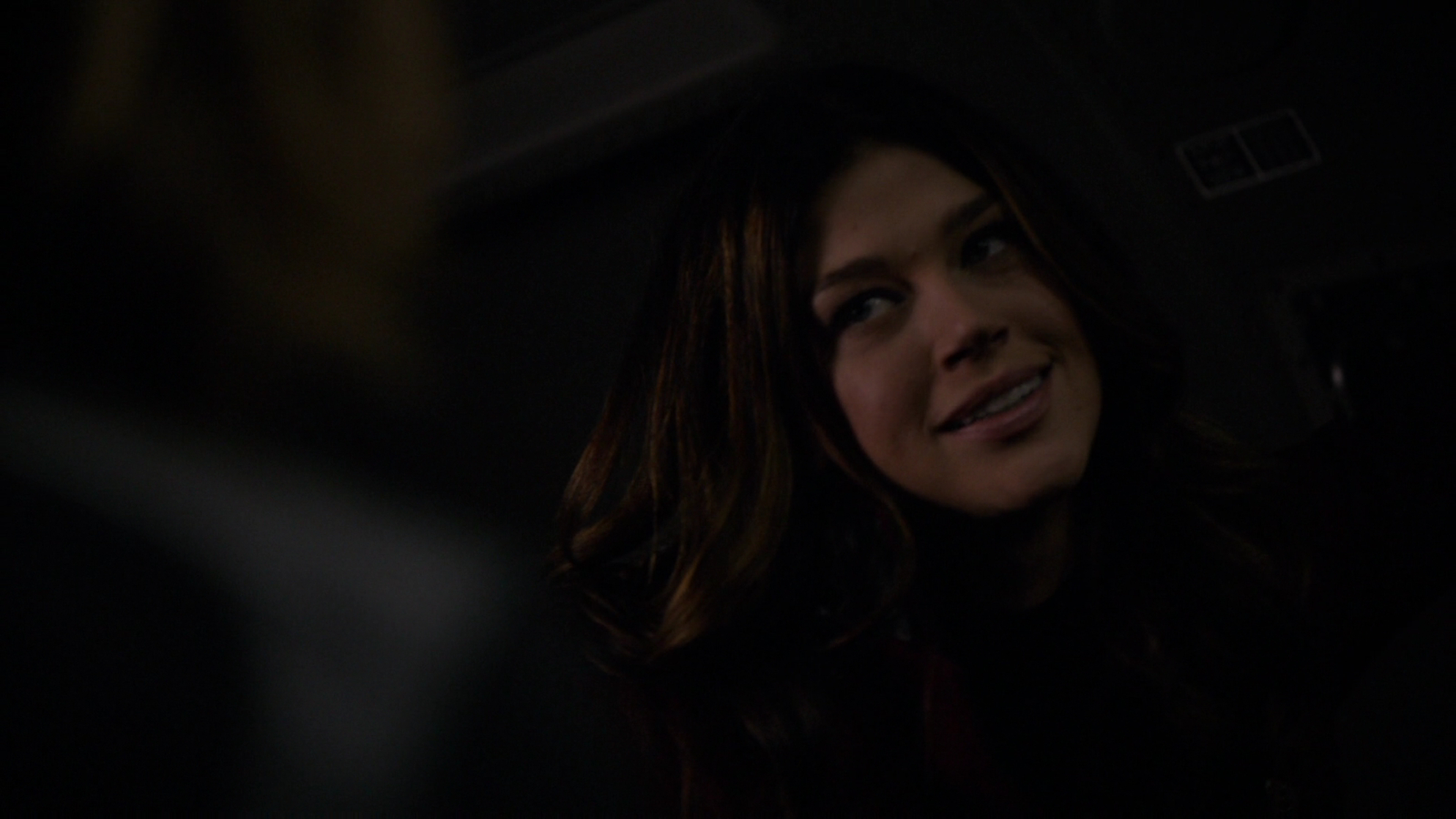 Adrianne Palicki Adrianne Palicki