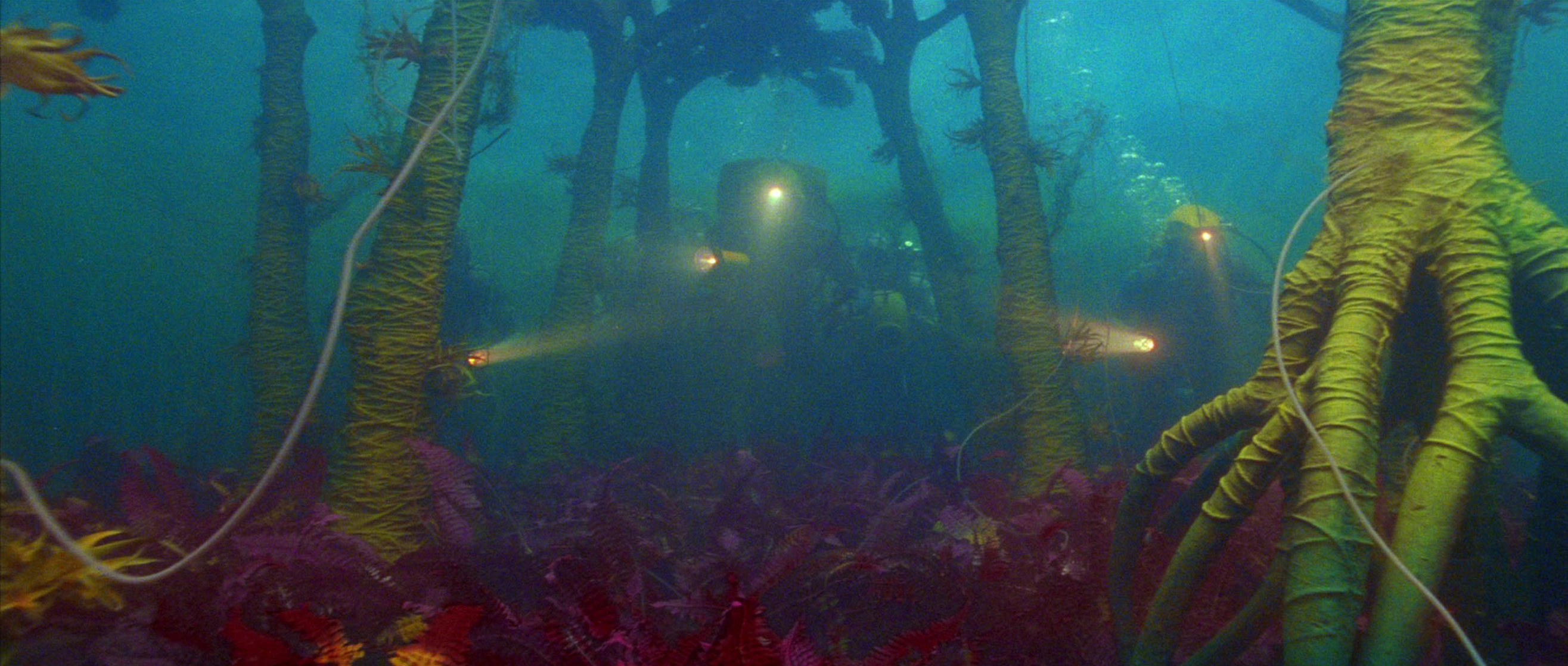 The Life Aquatic with Steve Zissou The Life Aquatic with Steve Zissou