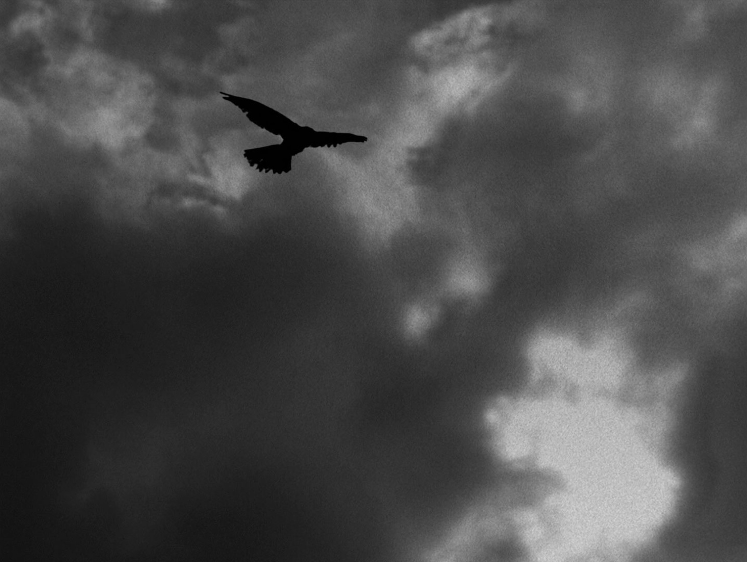 The Seventh Seal The Seventh Seal