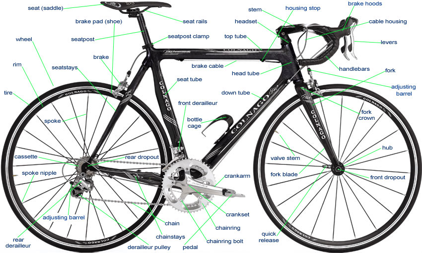 Bicycle