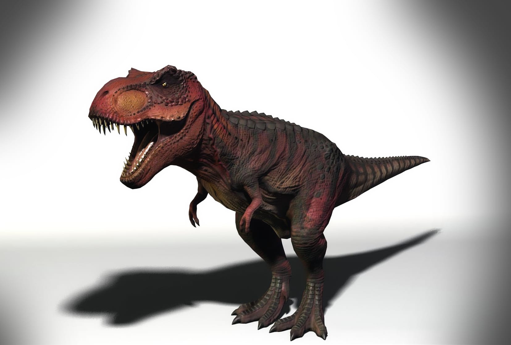 Tyrannosaurus Rex ( T-Rex )