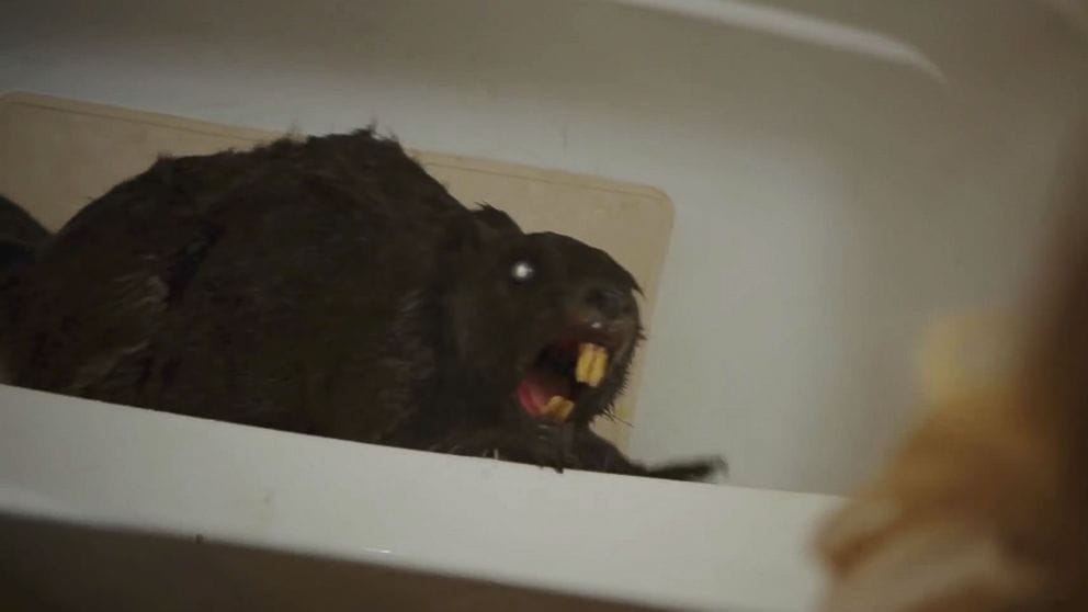 Zombeavers