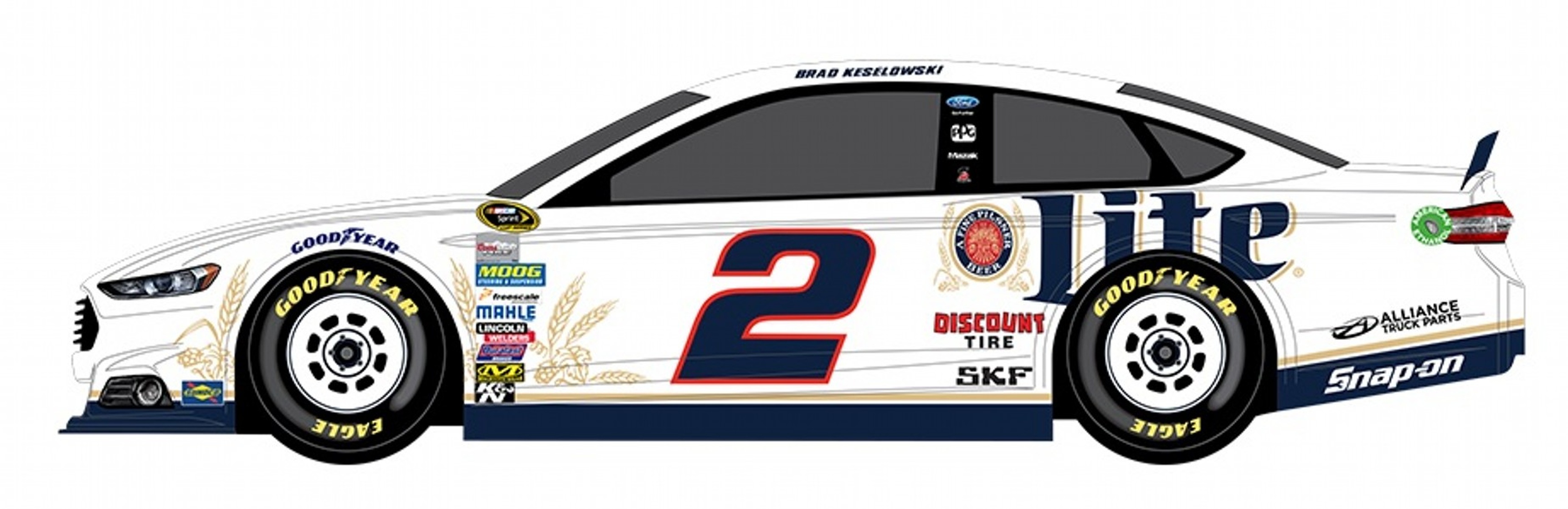 NASCAR Paint Schemes