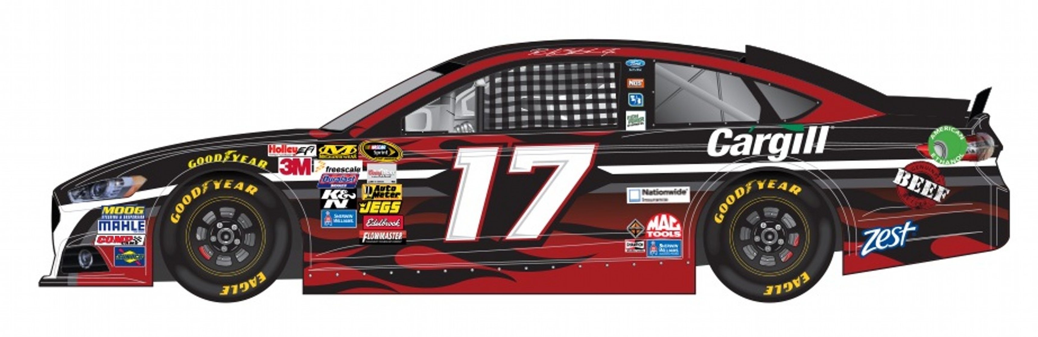 NASCAR Paint Schemes