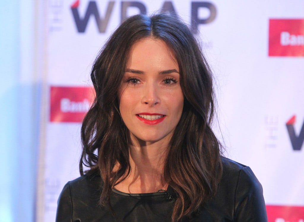 Picture of Abigail Spencer