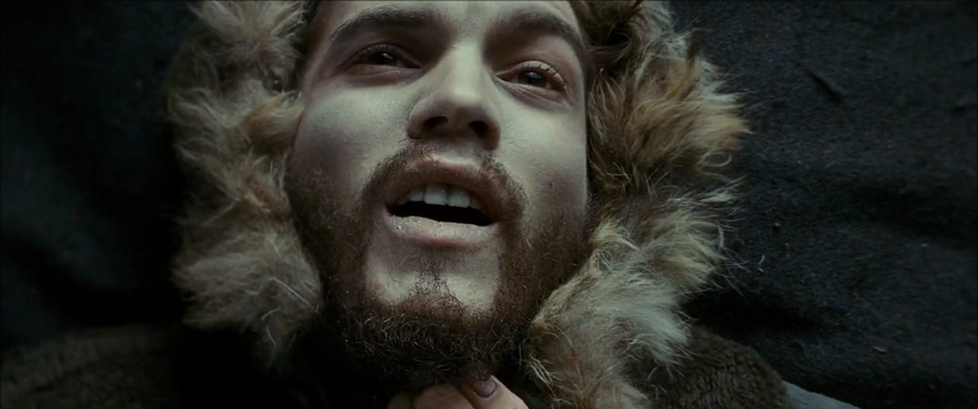 Into the Wild