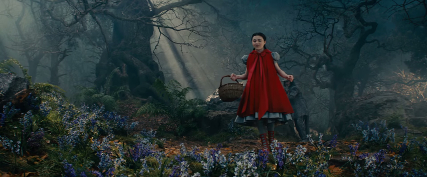 Into the Woods Into the Woods