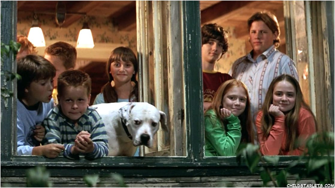 Image of Cheaper by the Dozen 2