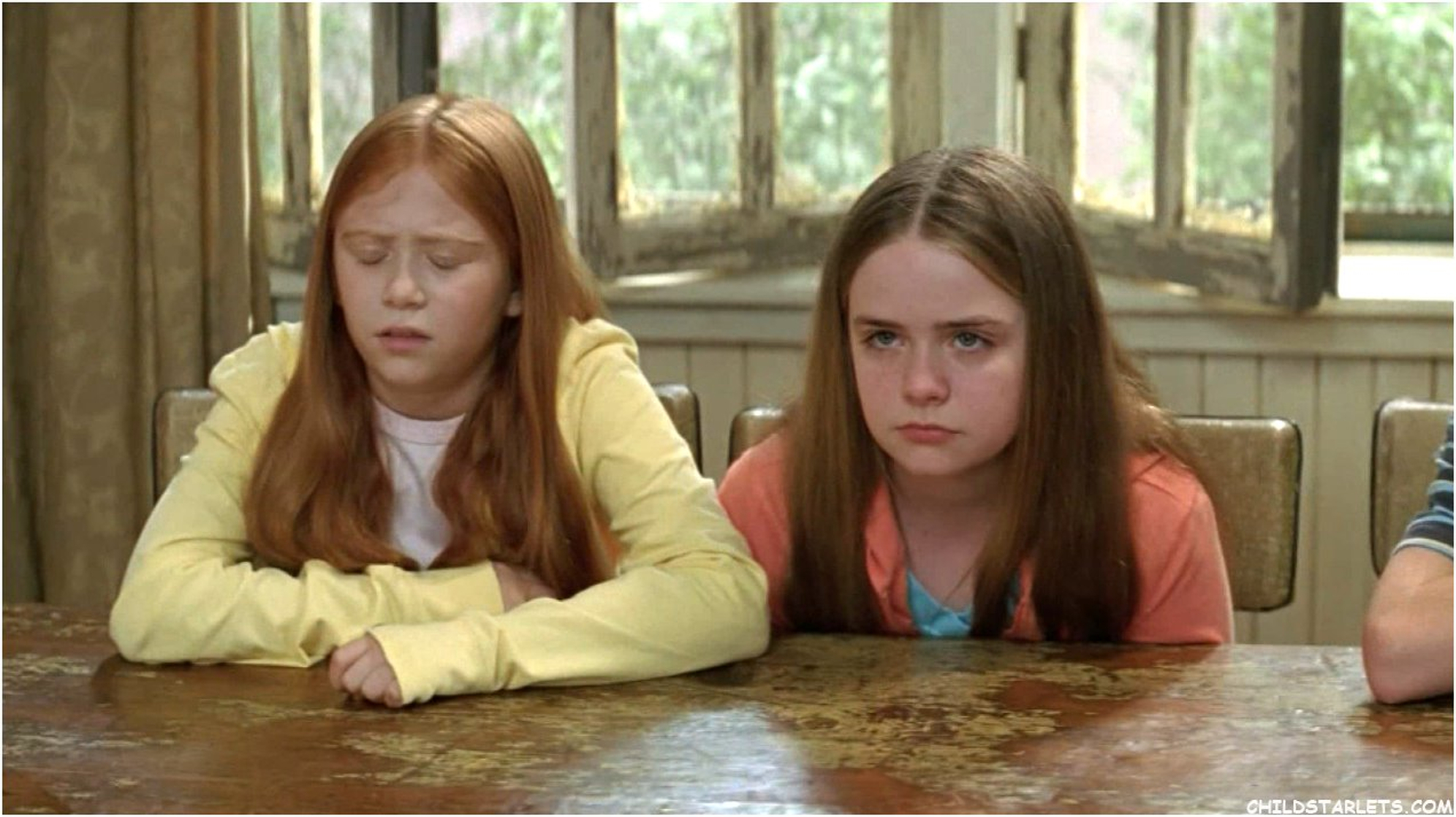 Cheaper by the Dozen 2