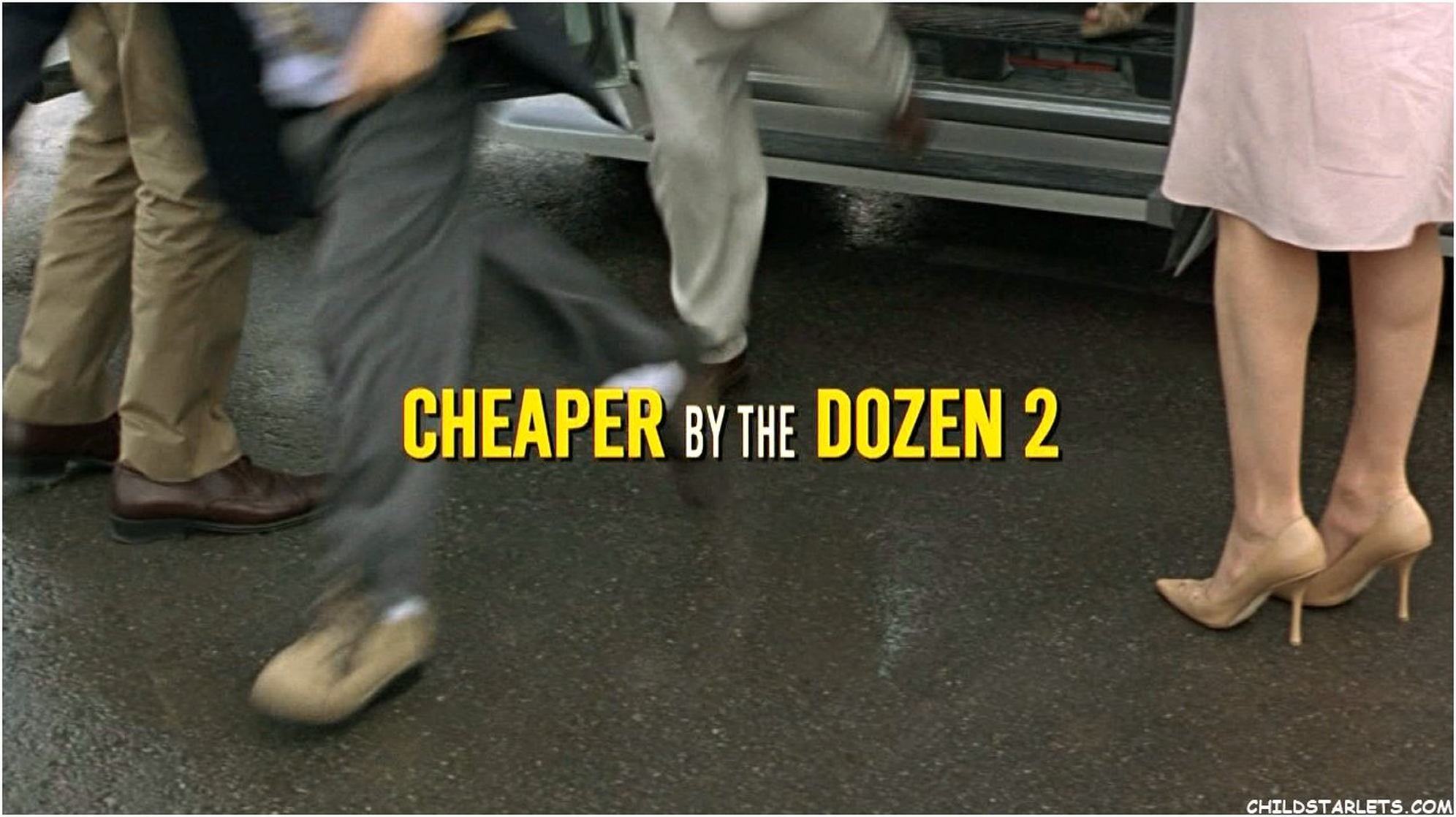 Cheaper by the Dozen 2