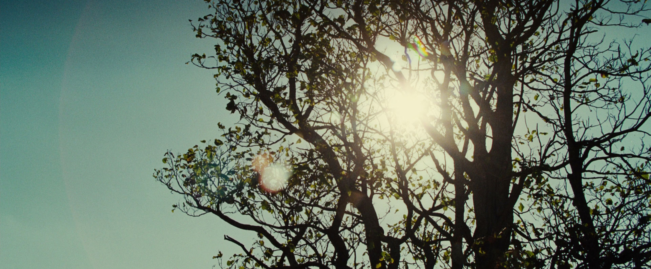 August: Osage County
